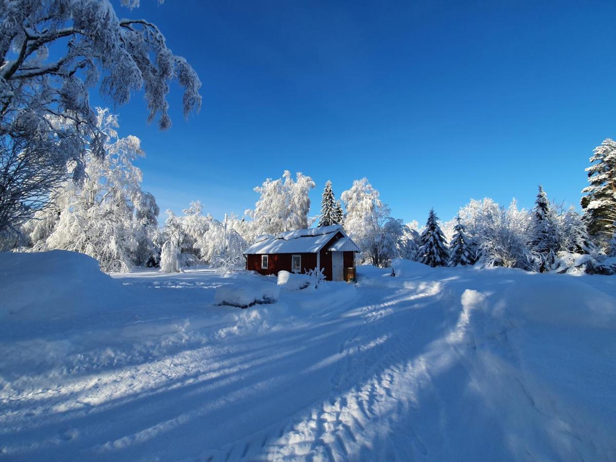 Luxury Guesthouse 'Lodge Lagom' - Hammarstrand-Jaemtland Esterno foto