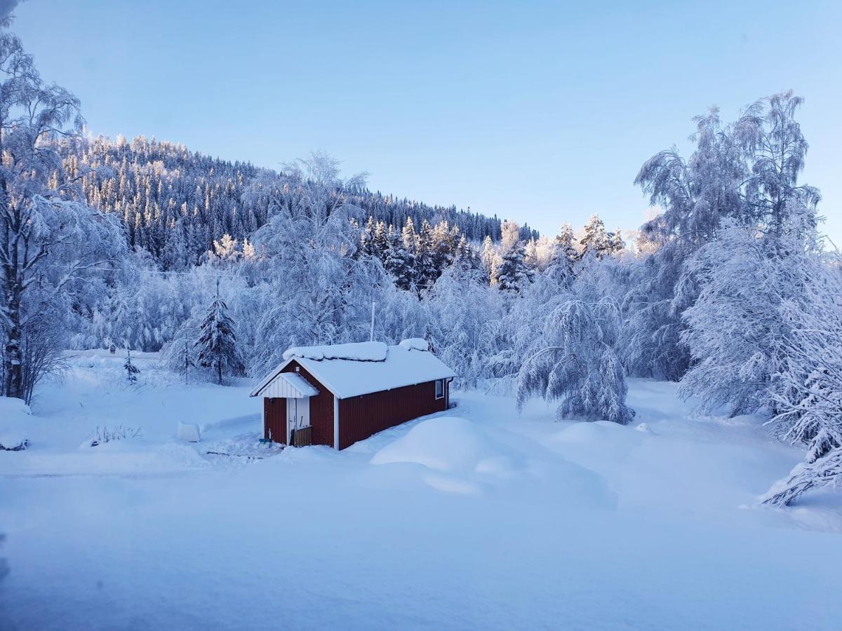 Luxury Guesthouse 'Lodge Lagom' - Hammarstrand-Jaemtland Esterno foto