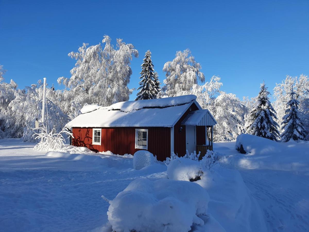 Luxury Guesthouse 'Lodge Lagom' - Hammarstrand-Jaemtland Esterno foto